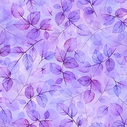 Lavender - Brilliant Blooms